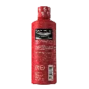 Big Ramy Labs  Red Rex L-Carnitine Liquid Shots-3500MG-32Serv.-Pineapple-.webp